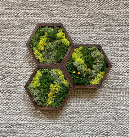 Hexagon Moss Wall Art - 5" by 6" - Green with Yellow Flowers