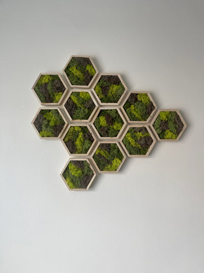 Greens & Brown - Hexagon - 5" by 6" - Reindeer Moss Collection