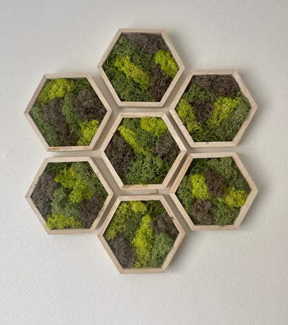 Greens & Brown - Hexagon - 5" by 6" - Reindeer Moss Collection