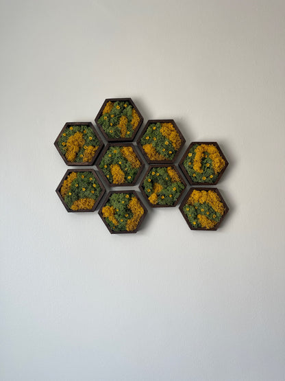 Hexagon Moss Wall Art - 5" by 6" - Green and Yellow/Orange Reindeer Moss