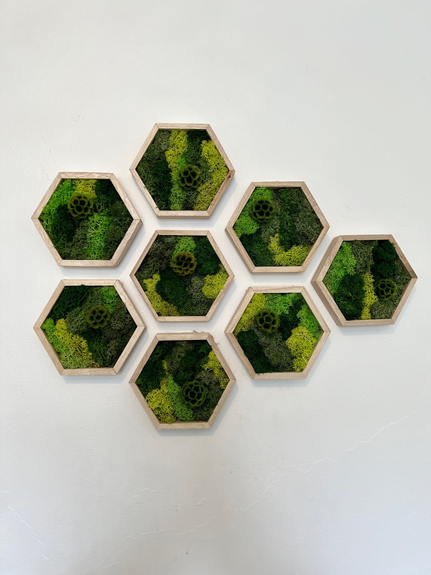 Shades of Green & Scabiosa Flowers - Hexagon - Walnut