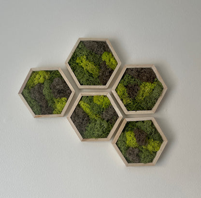 Greens & Brown - Hexagon - 5" by 6" - Reindeer Moss Collection