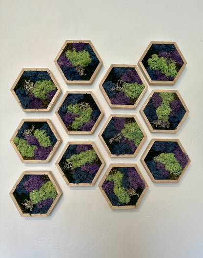 Green, Blue, Purple & Bark - 5" by 6" - Hexagon - Reindeer Moss Collection