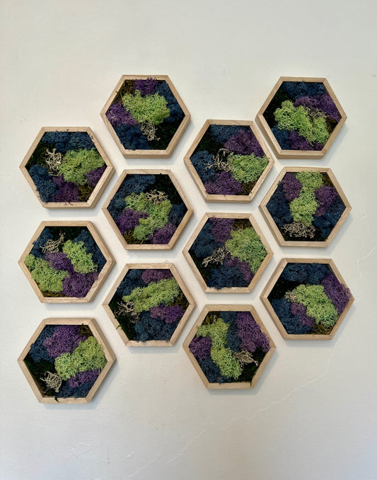 Green, Blue, Purple & Bark - 5" by 6" - Hexagon - Reindeer Moss Collection