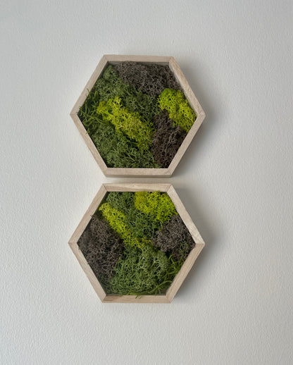 Greens & Brown - Hexagon - 5" by 6" - Reindeer Moss Collection