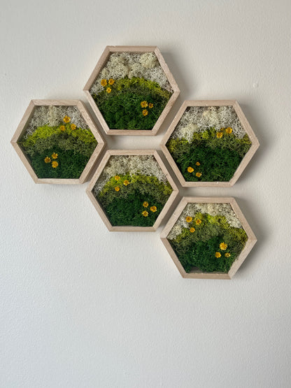 Meadow - Hexagon - Dark Green, Spring Green & White