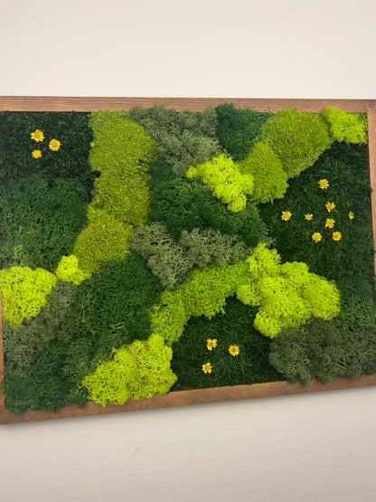 Fields of Green - Moss Wall Art Rectangle Wood Frame - Dark Green, Medium Green, Spring Green & Sheet Moss