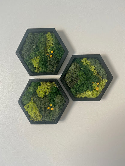 Hexagon Moss Wall Art - 5" by 6" - Green with Yellow Flowers