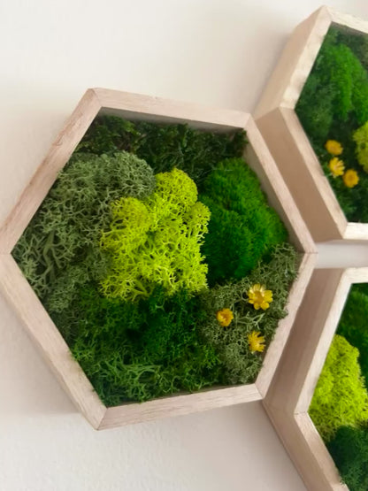 Shades of Green & Yellow Flowers - Hexagon - Reindeer, Pole & Sheet Moss - Maple