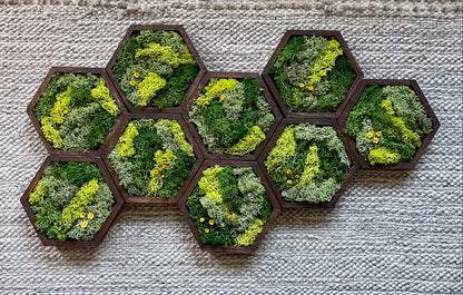 Hexagon Moss Wall Art - 5" by 6" - Green with Yellow Flowers