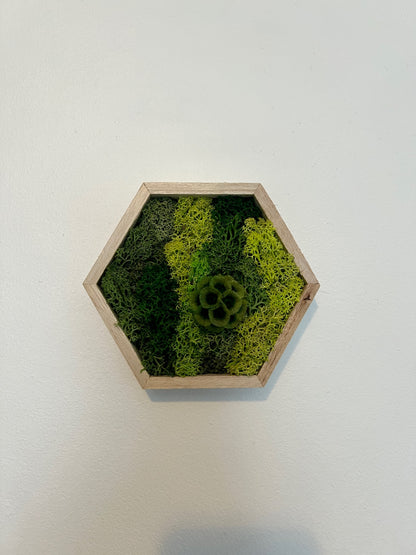 Shades of Green & Scabiosa Flowers - Hexagon - Walnut