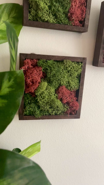 Green & Sienna - Square - Reindeer Moss Collection