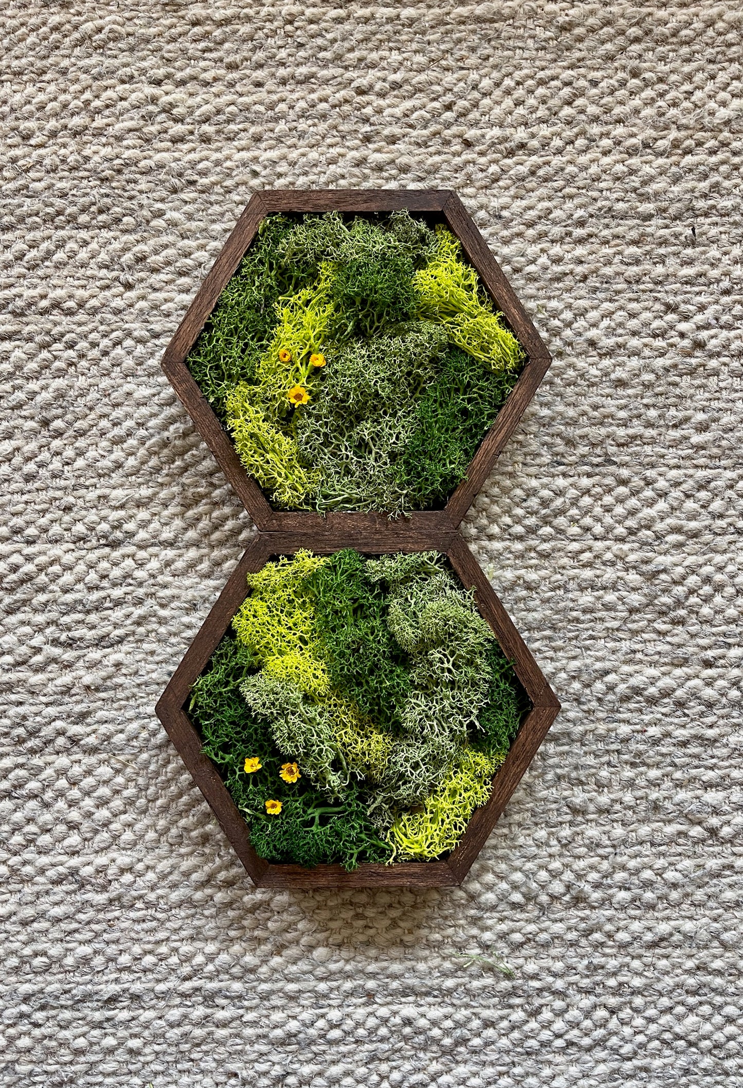 Hexagon Moss Wall Art - 5" by 6" - Green with Yellow Flowers