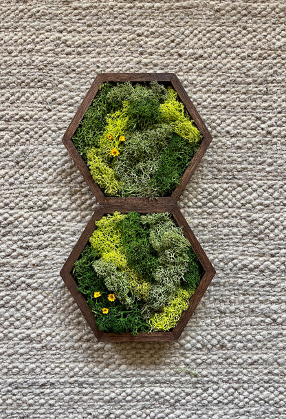 Hexagon Moss Wall Art - 5" by 6" - Green with Yellow Flowers