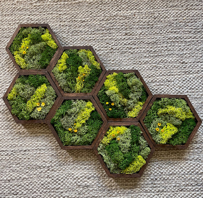 Hexagon Moss Wall Art - 5" by 6" - Green with Yellow Flowers