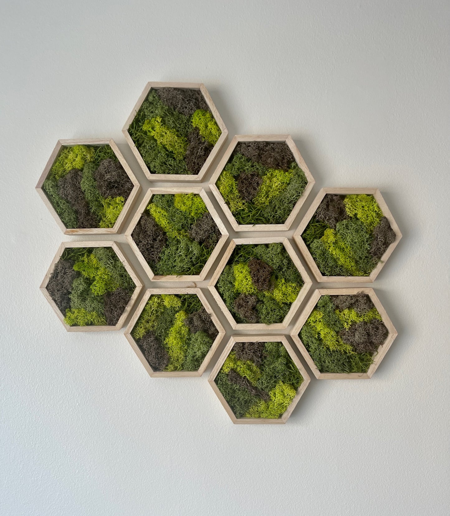 Greens & Brown - Hexagon - 5" by 6" - Reindeer Moss Collection