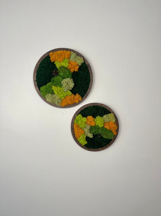 Moss Wall Art Circle - Shades of Green and Orange