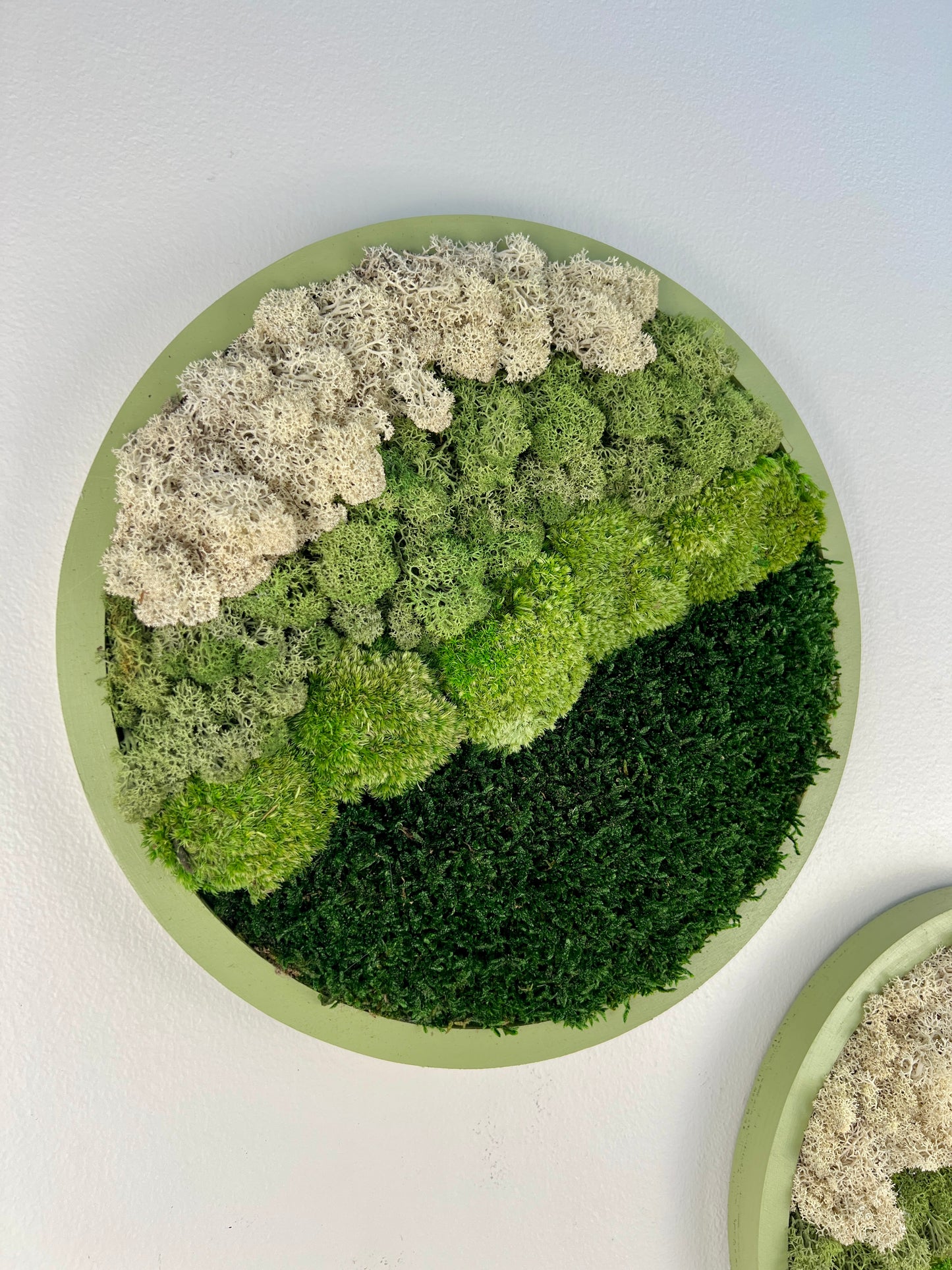 Moss Wall Art Circle -Ombre Shades of Green - Green Frame