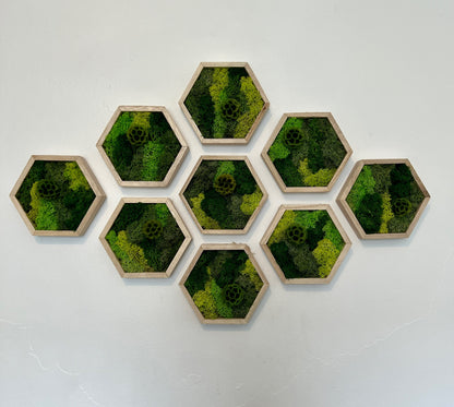 Shades of Green & Scabiosa Flowers - Hexagon - Walnut