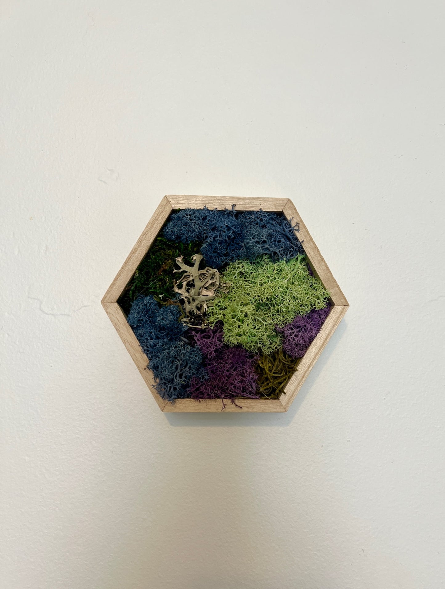 Green, Blue, Purple & Bark - 5" by 6" - Hexagon - Reindeer Moss Collection