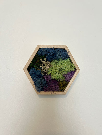 Green, Blue, Purple & Bark - 5" by 6" - Hexagon - Reindeer Moss Collection