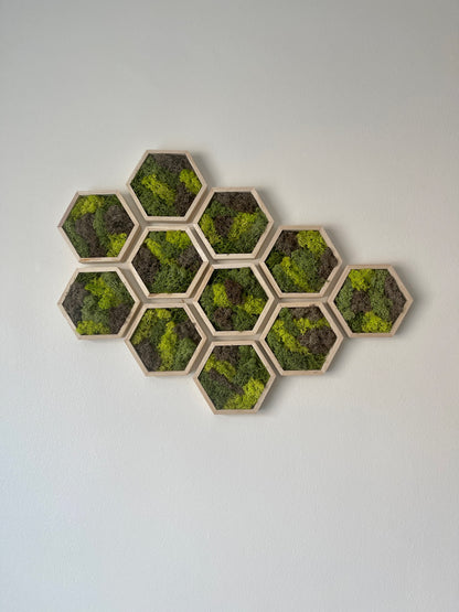 Greens & Brown - Hexagon - 5" by 6" - Reindeer Moss Collection