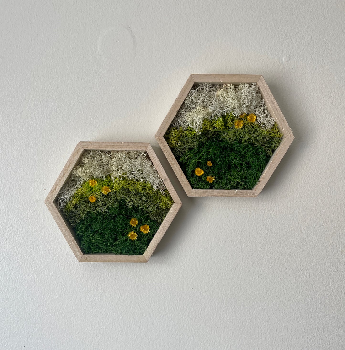 Meadow - Hexagon - Dark Green, Spring Green & White