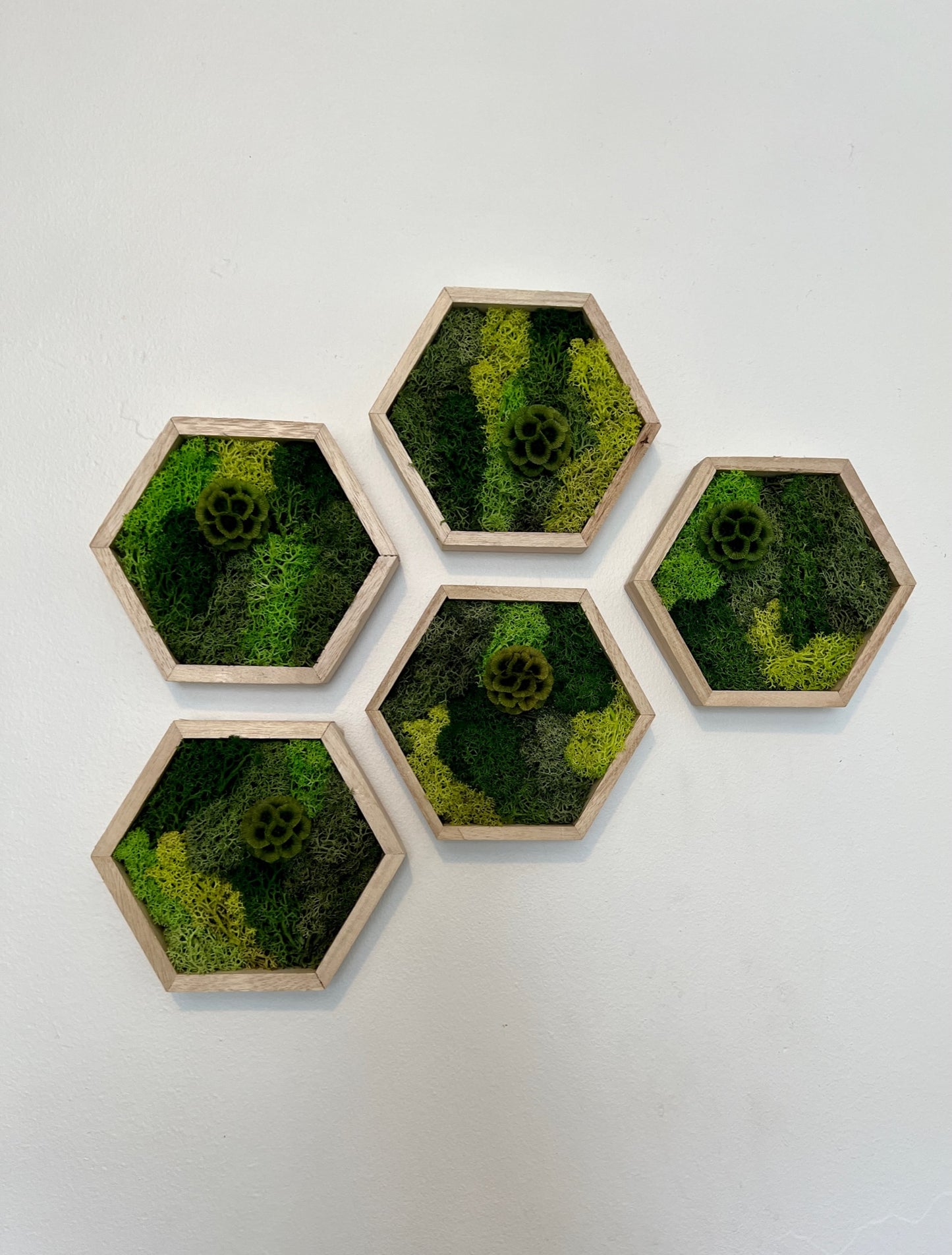 Shades of Green & Scabiosa Flowers - Hexagon - Walnut