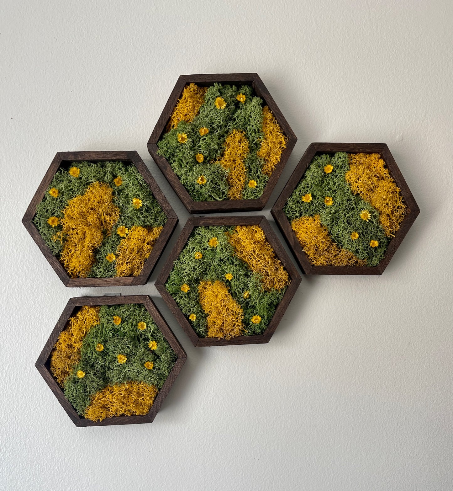 Hexagon Moss Wall Art - 5" by 6" - Green and Yellow/Orange Reindeer Moss