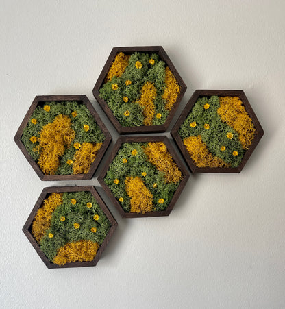 Hexagon Moss Wall Art - 5" by 6" - Green and Yellow/Orange Reindeer Moss