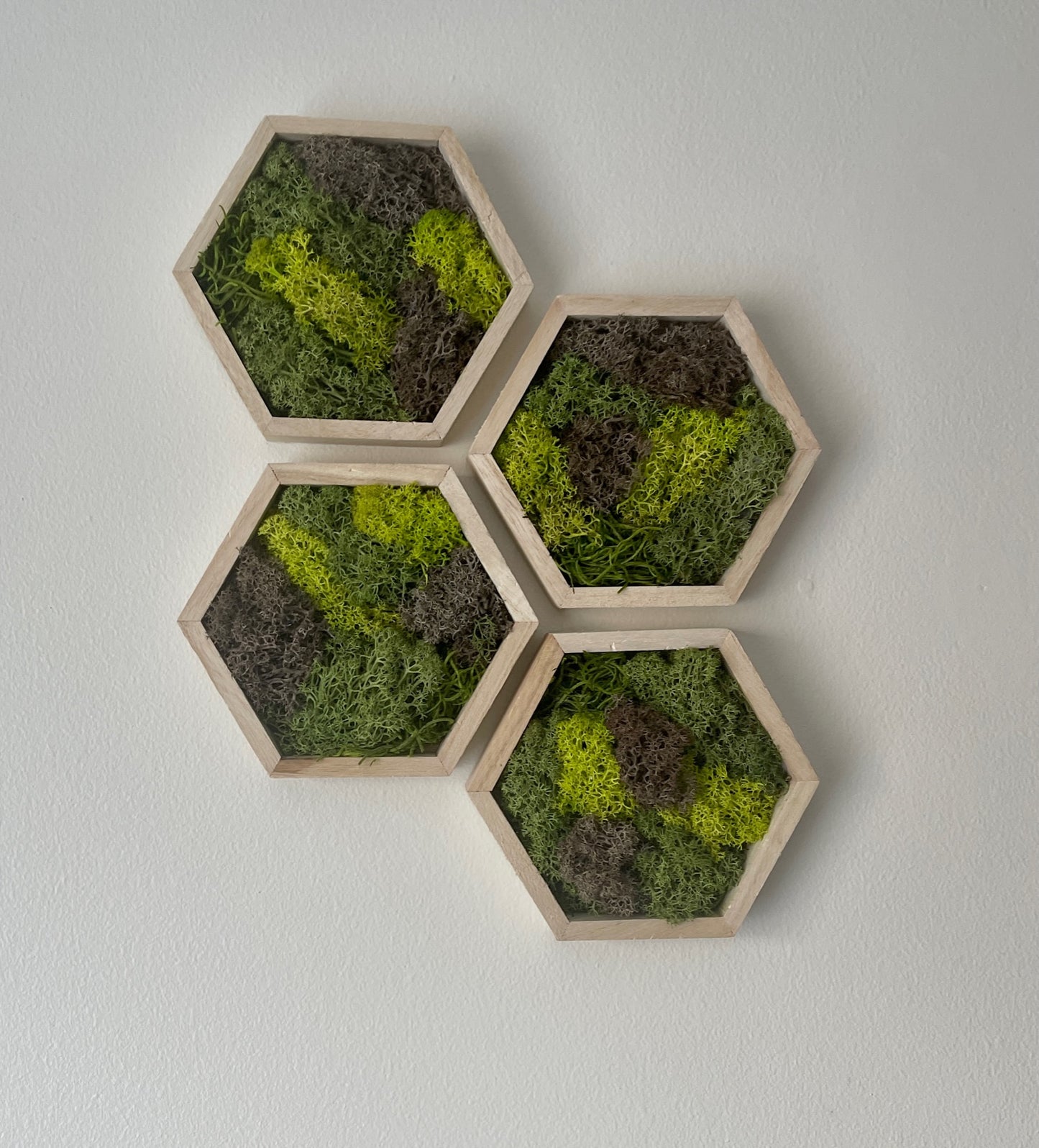 Greens & Brown - Hexagon - 5" by 6" - Reindeer Moss Collection