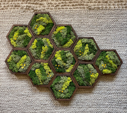 Hexagon Moss Wall Art - 5" by 6" - Green with Yellow Flowers