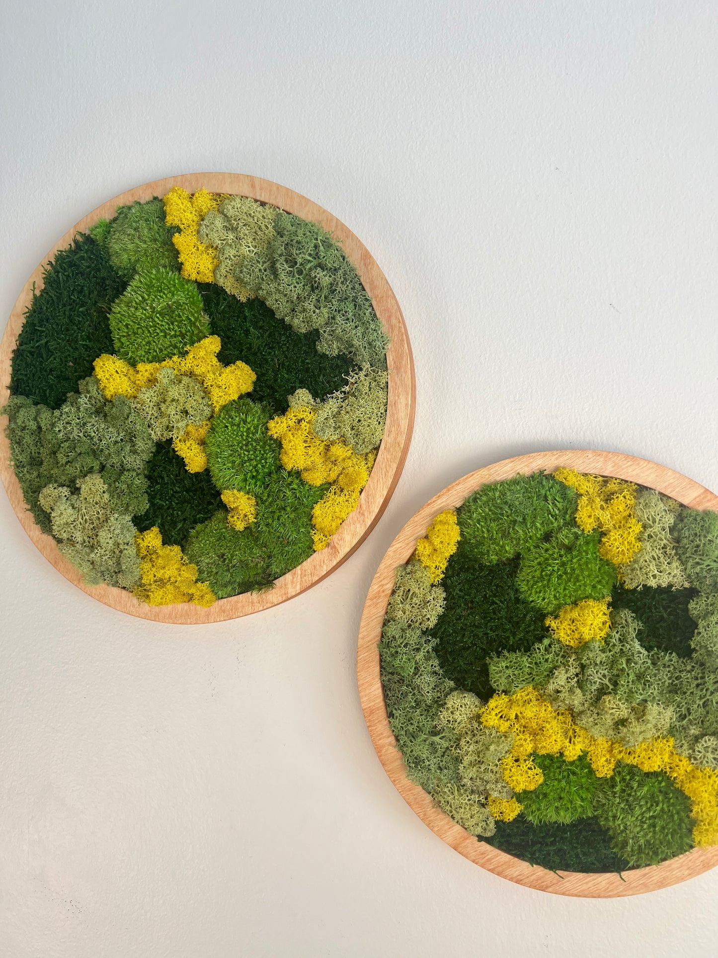 Moss Wall Art Circle - Shades of Green and Yellow