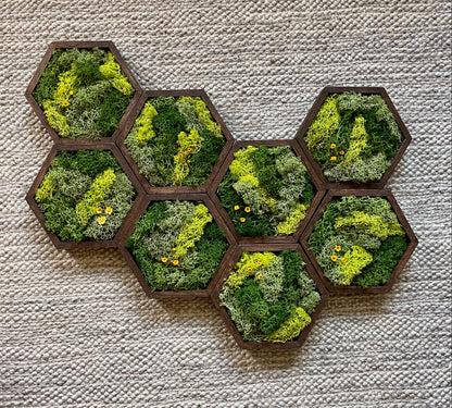 Hexagon Moss Wall Art - 5" by 6" - Green with Yellow Flowers