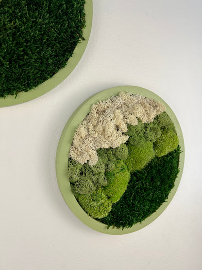 Moss Wall Art Circle -Ombre Shades of Green - Green Frame