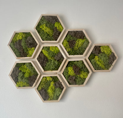 Greens & Brown - Hexagon - 5" by 6" - Reindeer Moss Collection