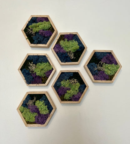 Green, Blue, Purple & Bark - 5" by 6" - Hexagon - Reindeer Moss Collection