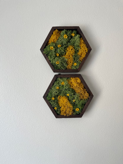 Hexagon Moss Wall Art - 5" by 6" - Green and Yellow/Orange Reindeer Moss