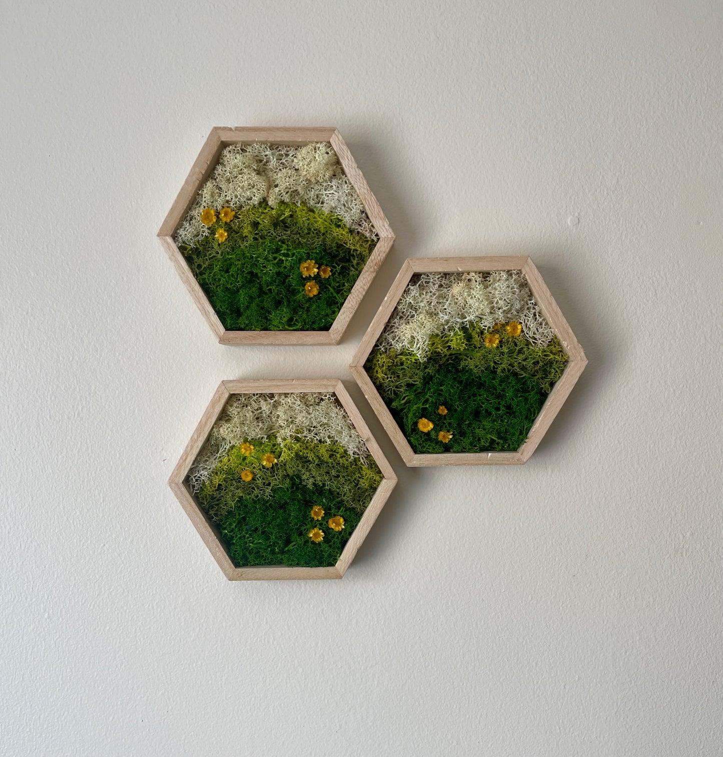 Meadow - Hexagon - Dark Green, Spring Green & White