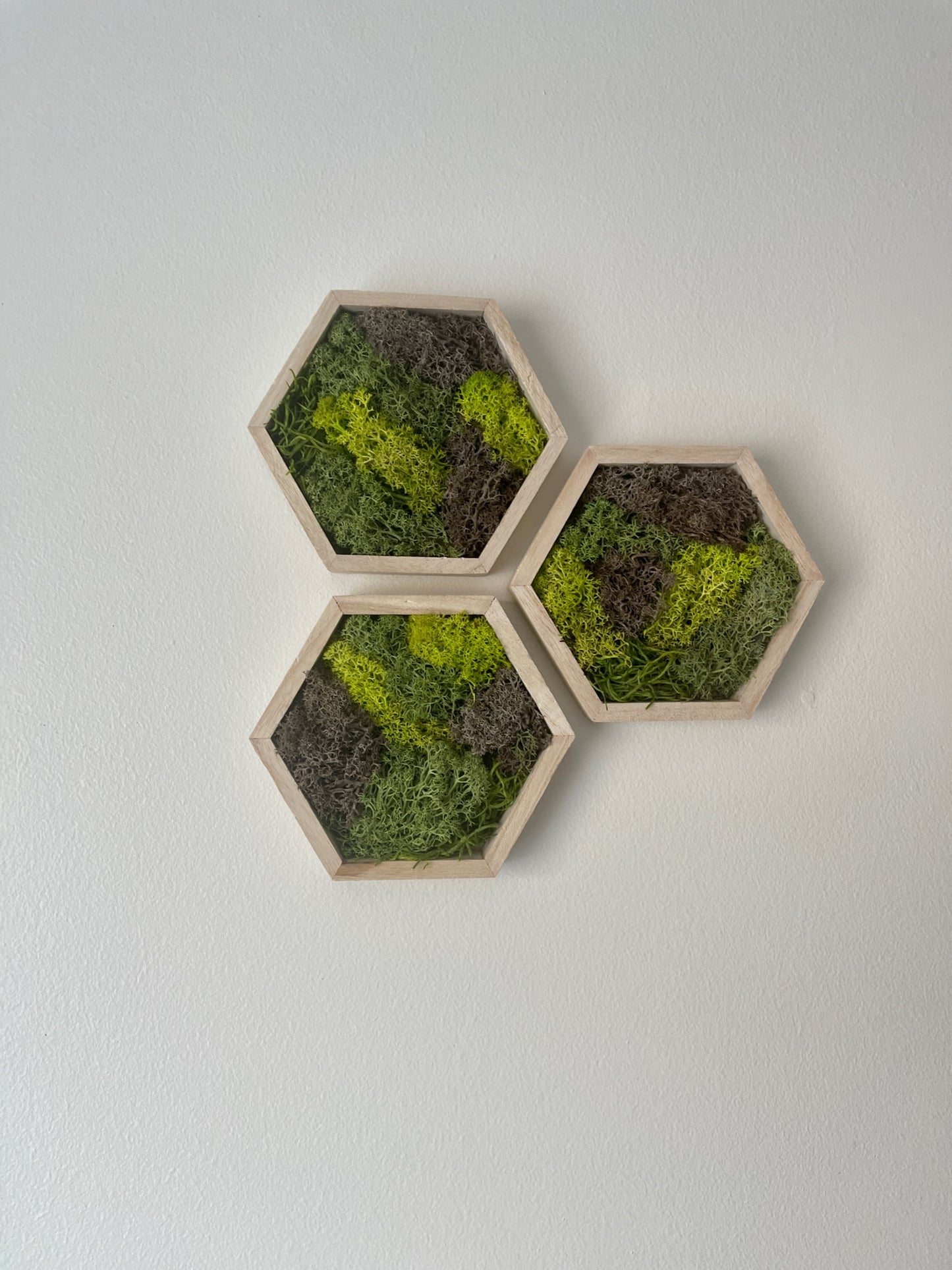 Greens & Brown - Hexagon - 5" by 6" - Reindeer Moss Collection