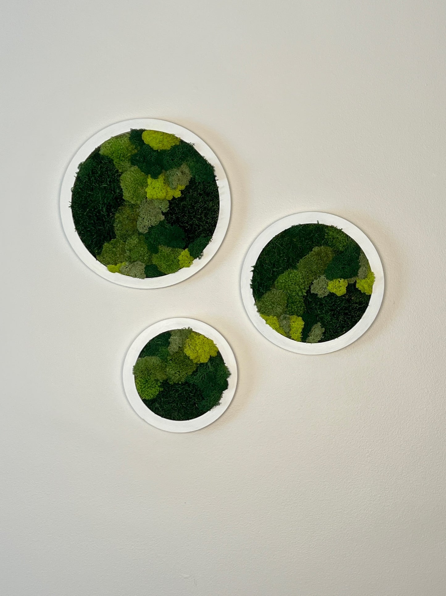 Circle Trio - Shades of Green - White Frame