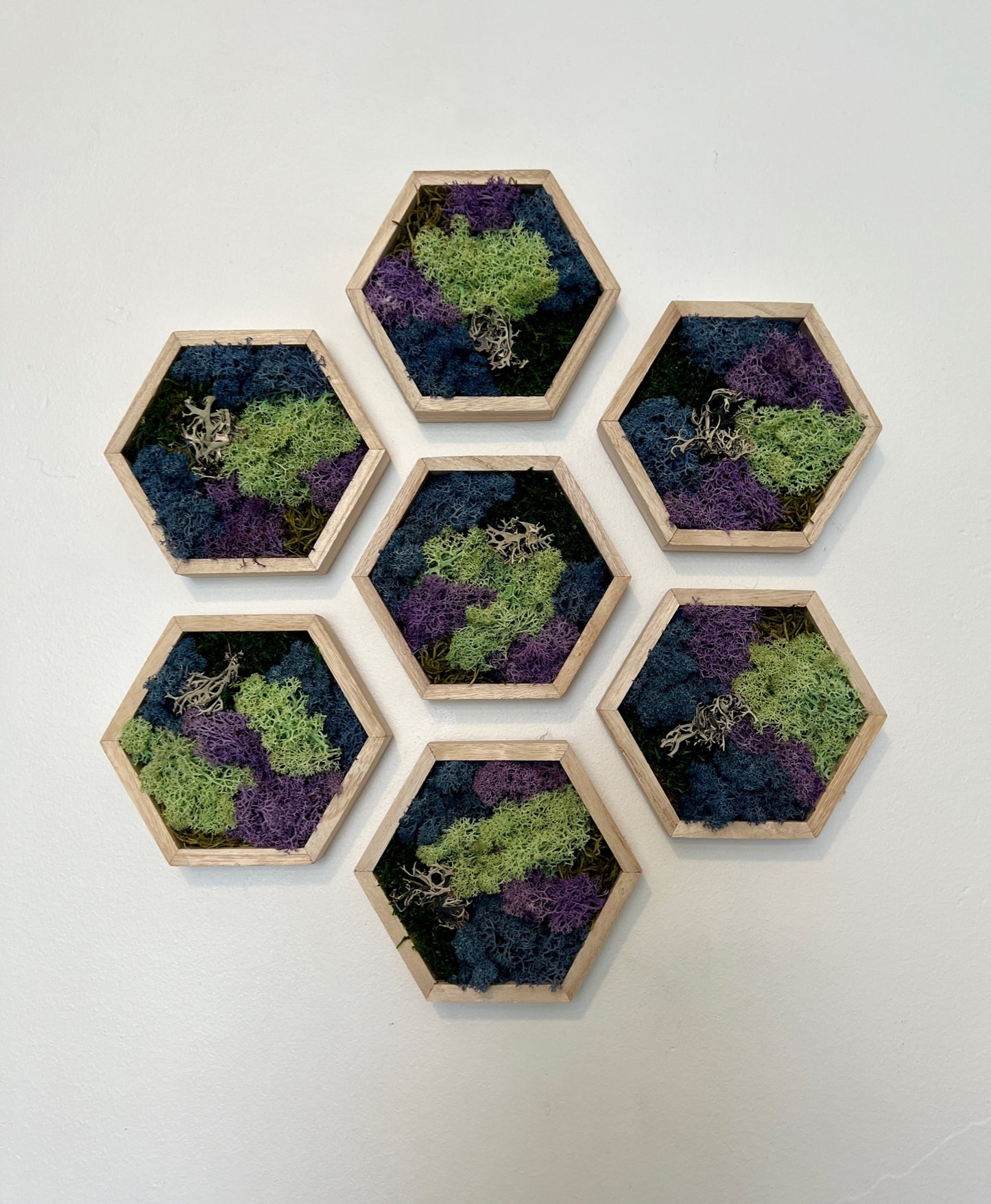 Green, Blue, Purple & Bark - 5" by 6" - Hexagon - Reindeer Moss Collection