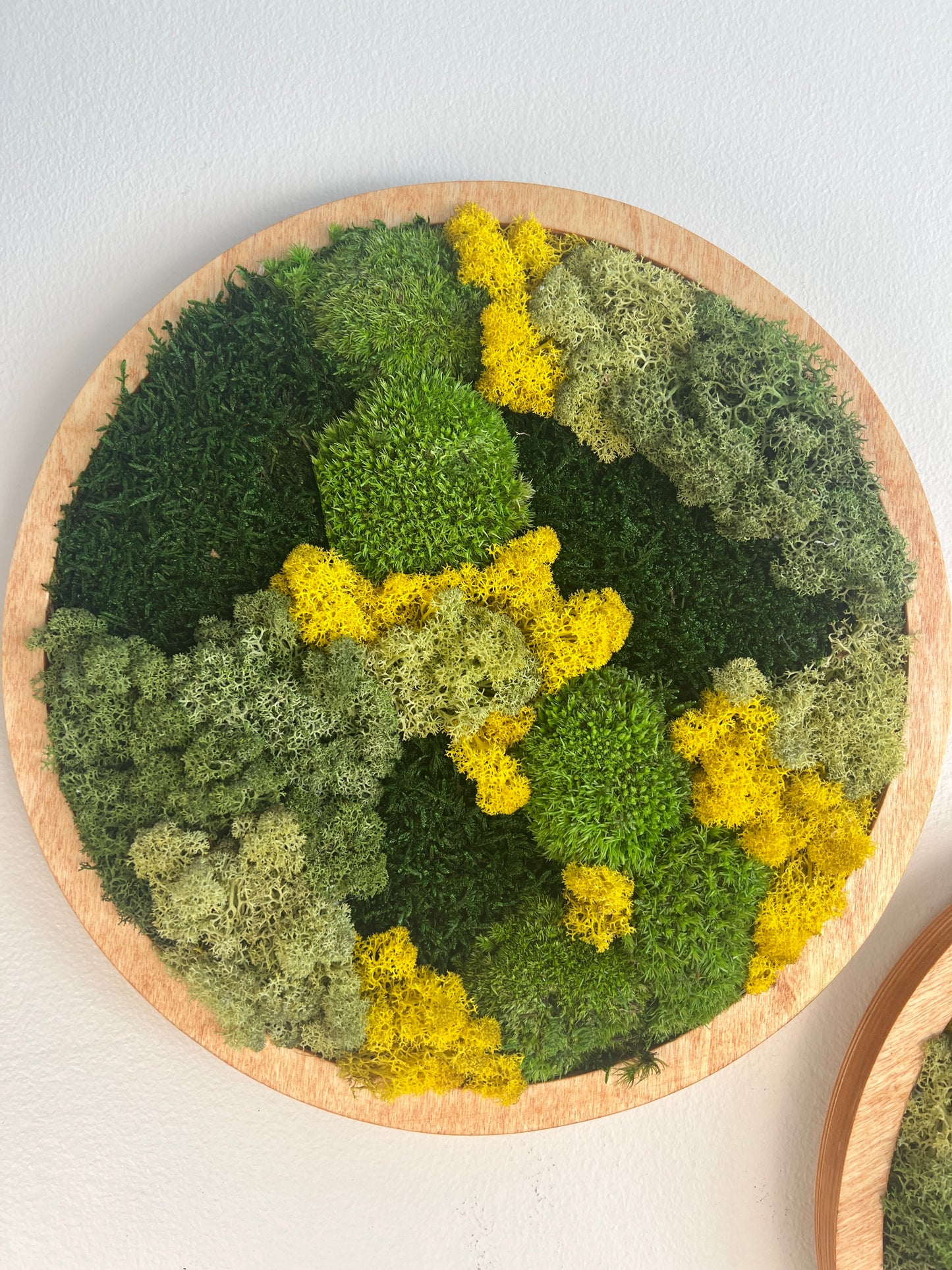 Moss Wall Art Circle - Shades of Green and Yellow