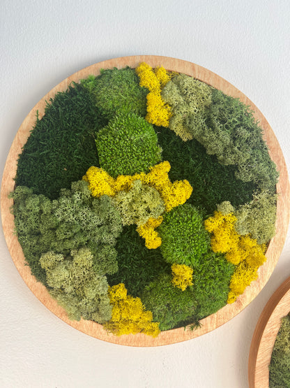Moss Wall Art Circle - Shades of Green and Yellow
