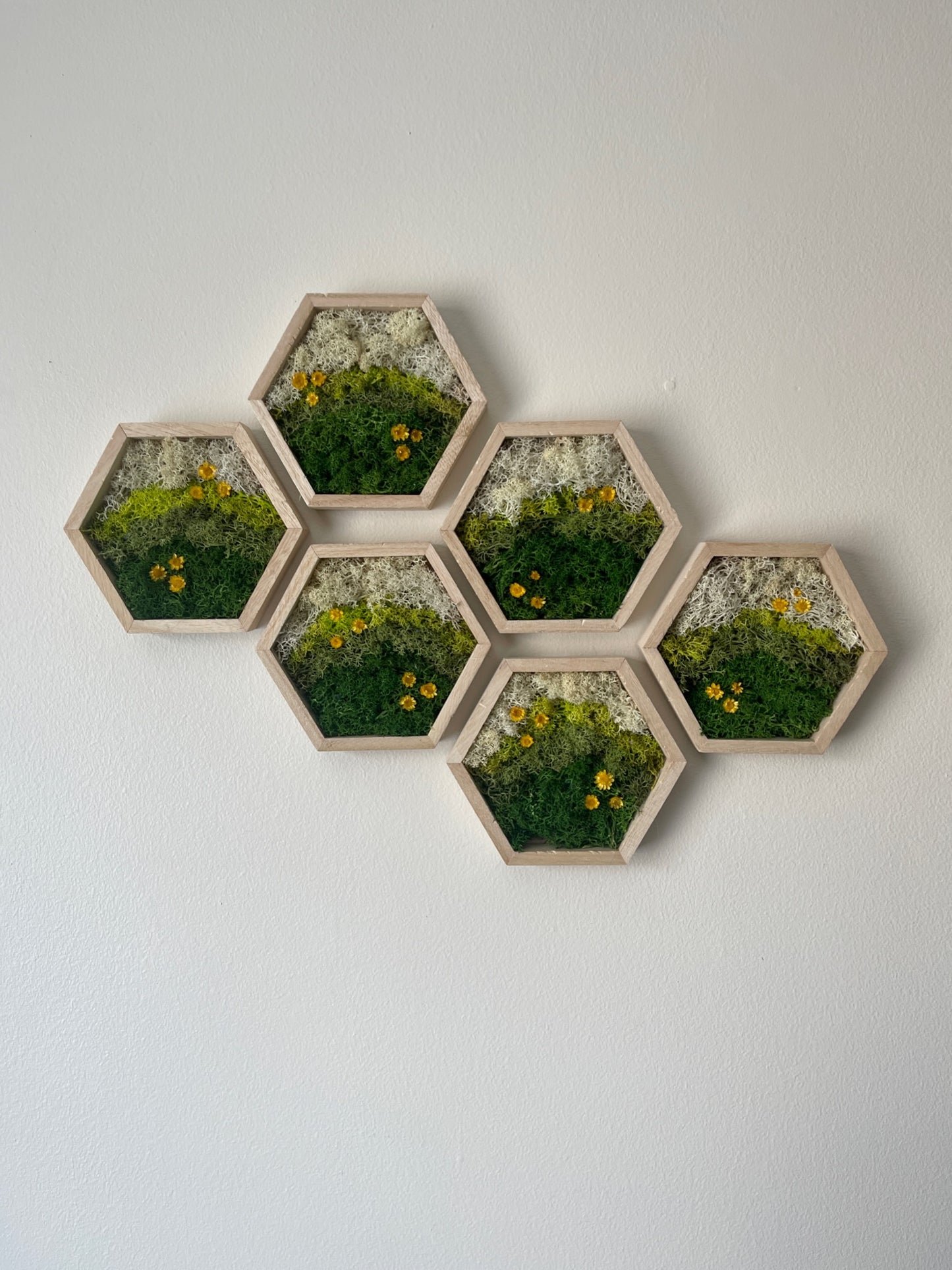 Meadow - Hexagon - Dark Green, Spring Green & White