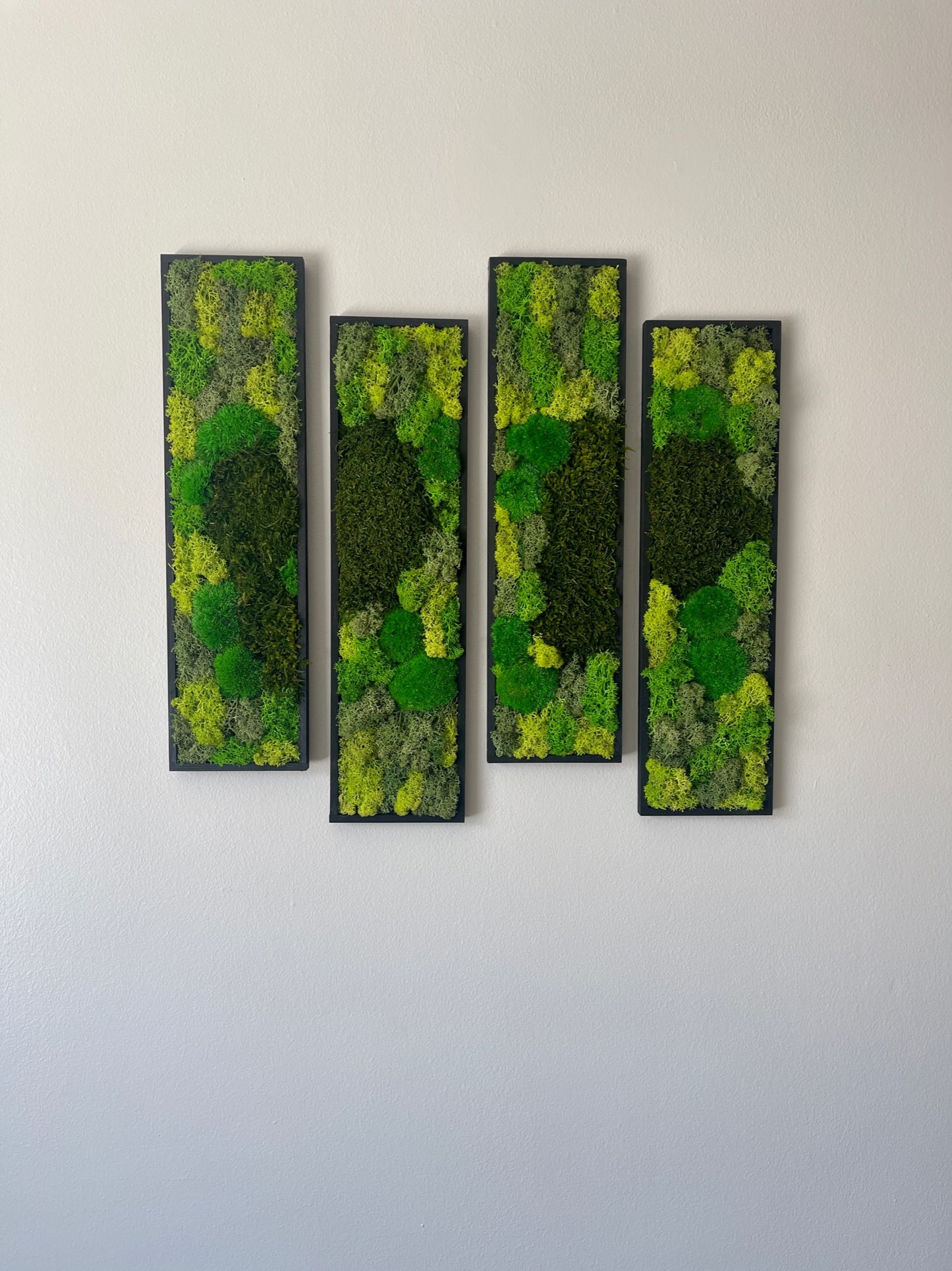 Long Rectangle Preserved Moss Decor - 18" by 5" - Pole & Reindeer Moss