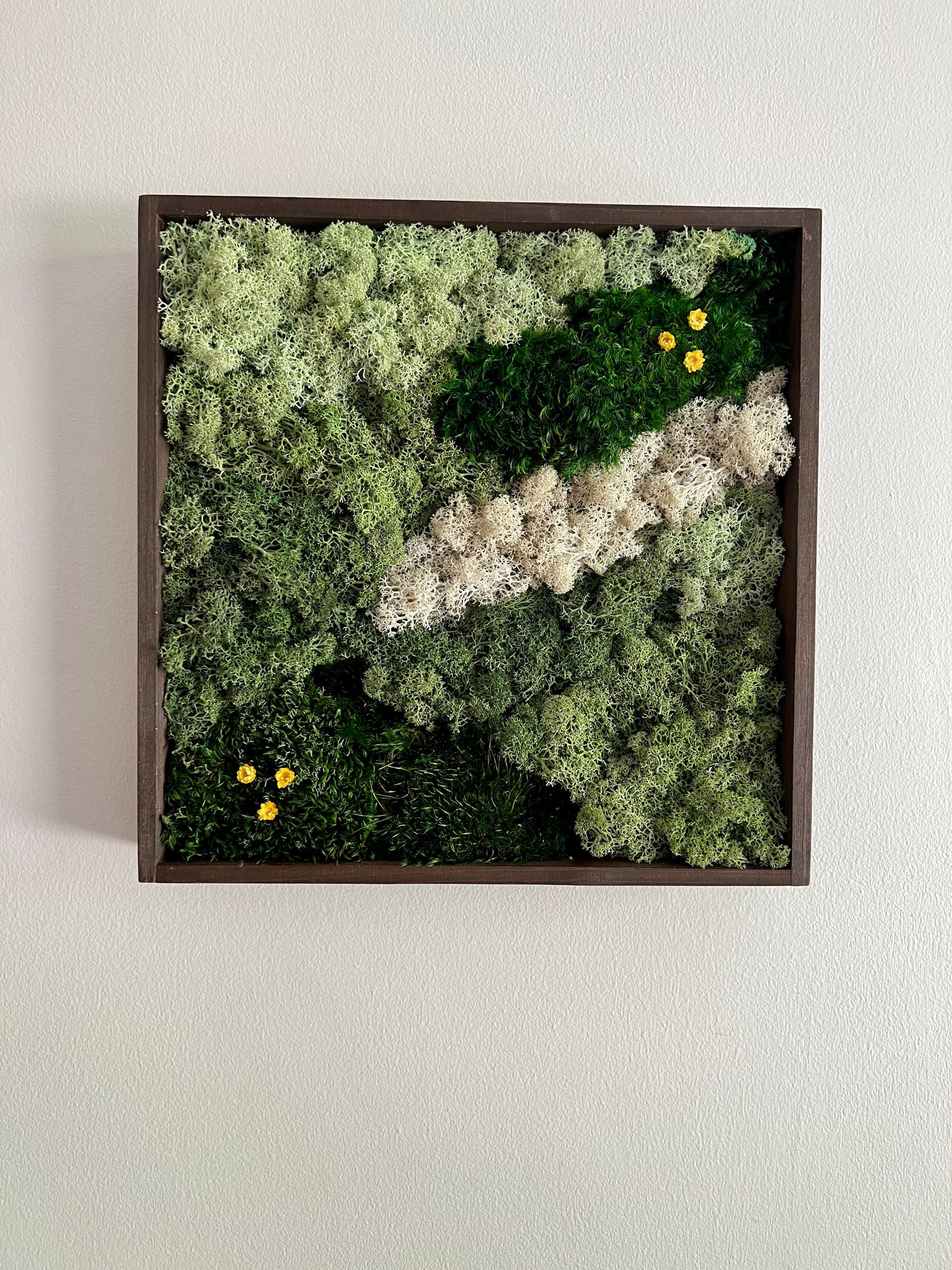 Abstract - 12 x 12 Square - Shades of Green Reindeer, Pole & Mood Moss