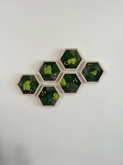 Shades of Green & Yellow Flowers - Hexagon - Reindeer, Pole & Sheet Moss - Maple