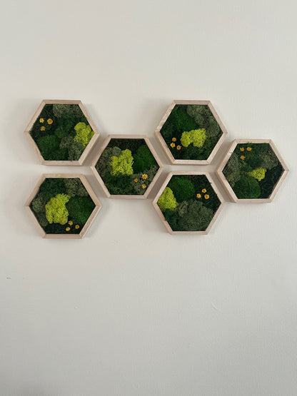 Shades of Green & Yellow Flowers - Hexagon - Reindeer, Pole & Sheet Moss - Maple