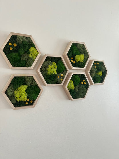 Shades of Green & Yellow Flowers - Hexagon - Reindeer, Pole & Sheet Moss - Maple